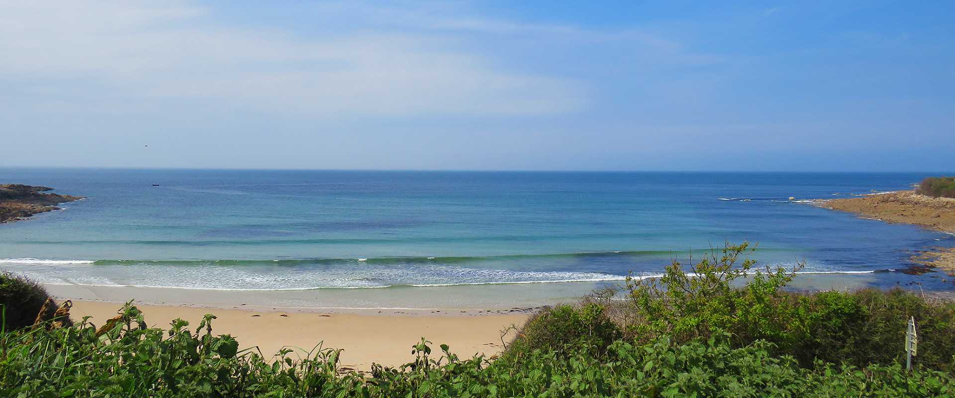 Frédéric GODEY & Anne BLESTEL
