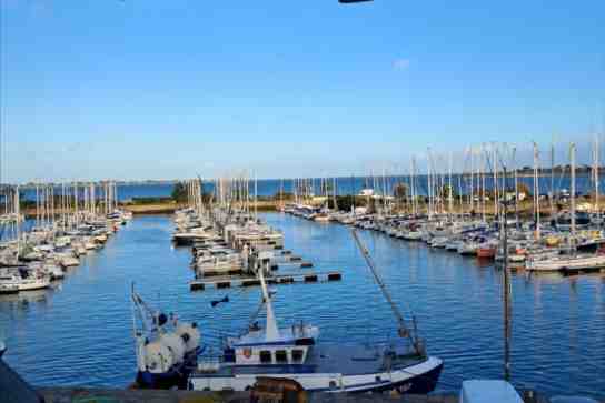 Photo d'illustration de l'annonce N°30294700