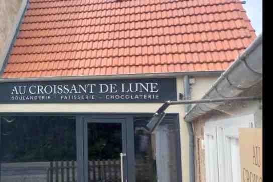 Photo d'illustration de l'annonce N°32177424